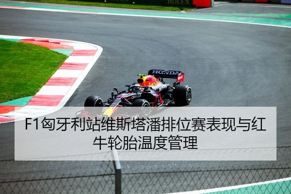 F1匈牙利站维斯塔潘排位赛表现与红牛轮胎温度管理